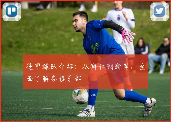 德甲球队介绍：从拜仁到新军，全面了解各俱乐部