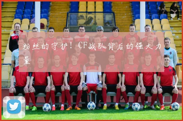 粉丝的守护!CF战队背后的强大力量